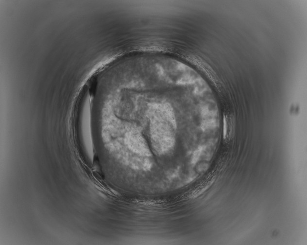 X0000097600723200803280950