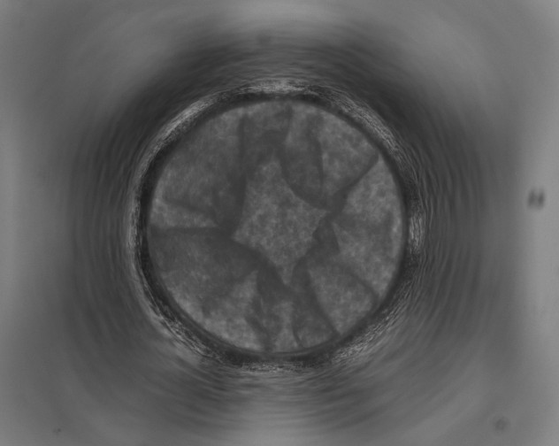 X0000097600724200803280950