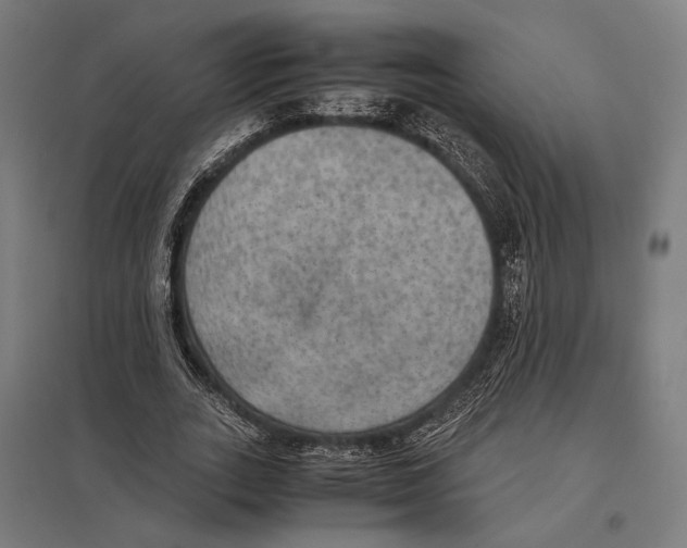 X0000097600727200803280950