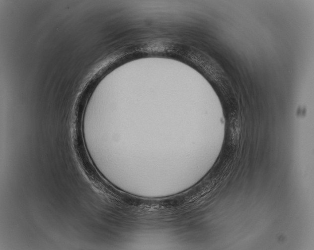 X0000097600728200803280950