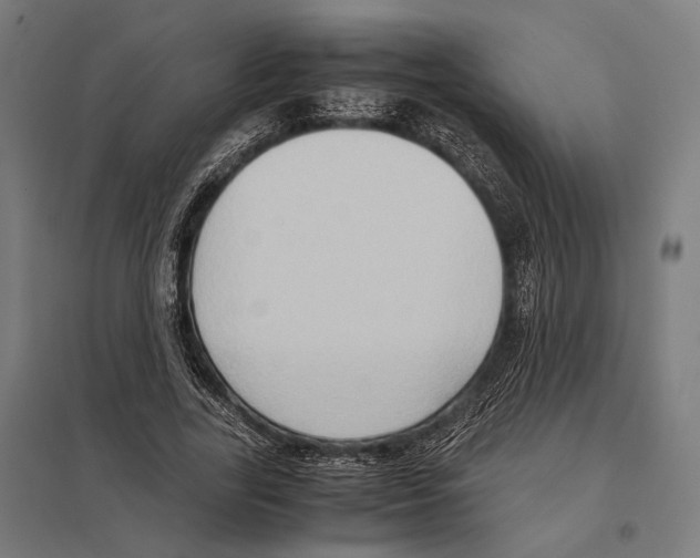 X0000097600731200803280950