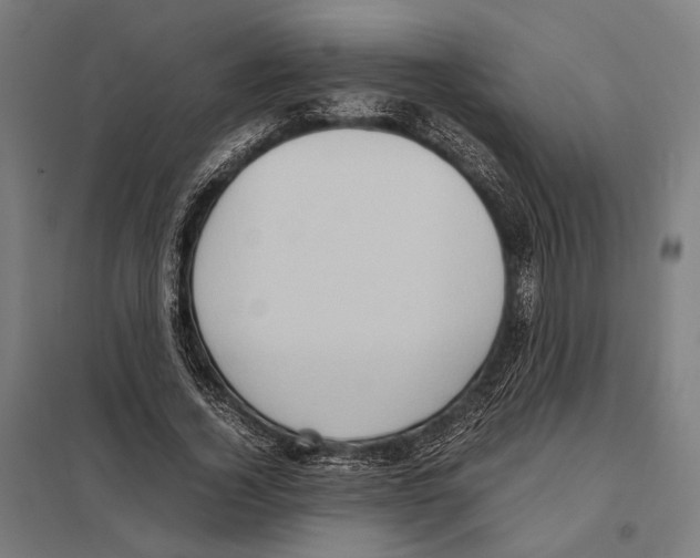 X0000097600732200803280950