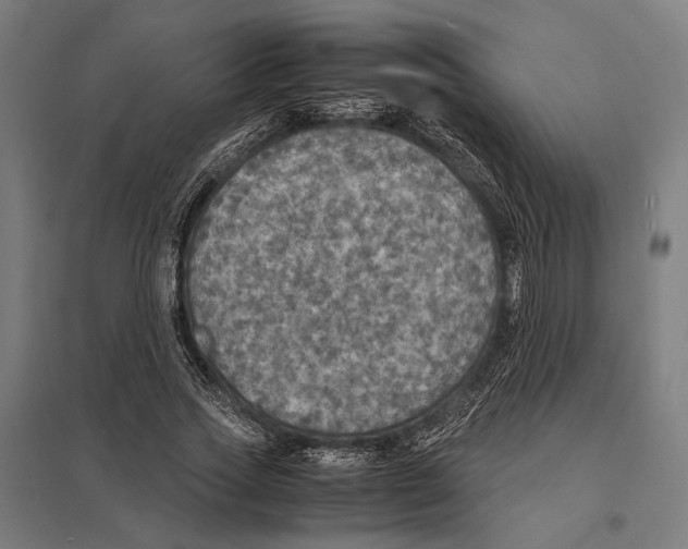 X0000097600733200803280950