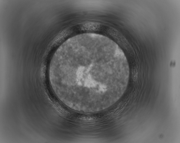 X0000097600735200803280950