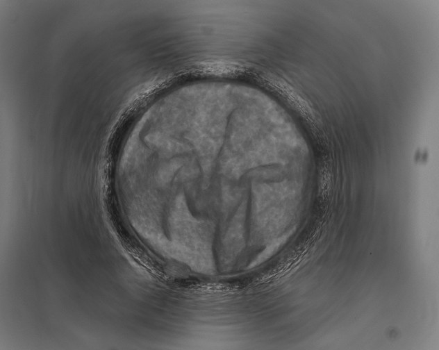 X0000097600736200803280950