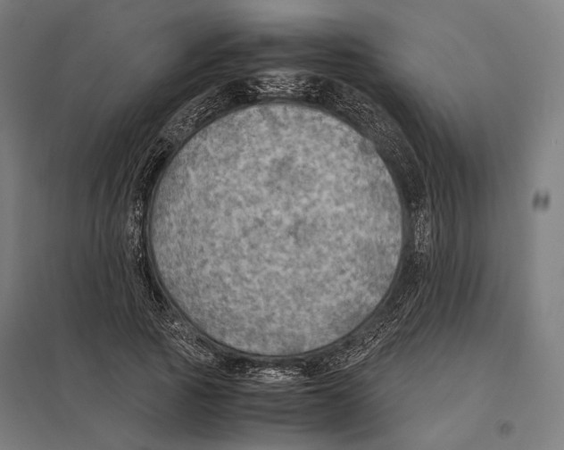 X0000097600737200803280950