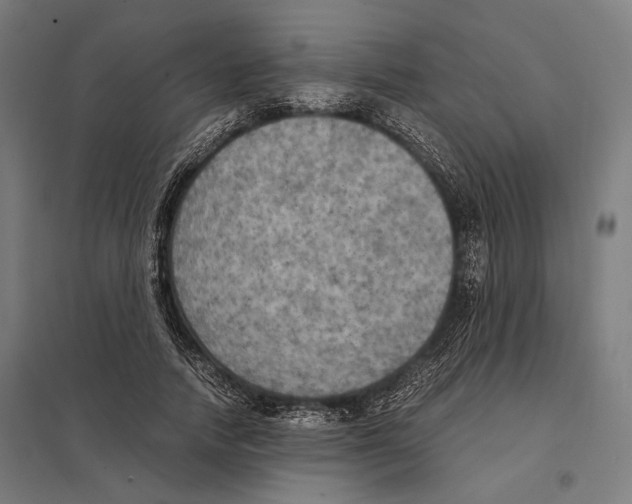 X0000097600738200803280950