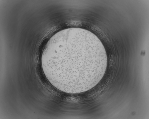 X0000097600739200803280950