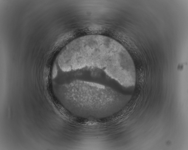 X0000097600742200803280950