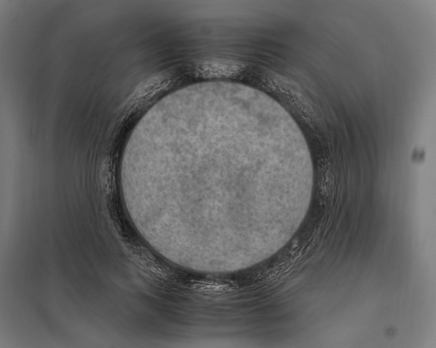 X0000097600743200803280950