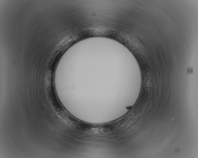 X0000097600744200803280950