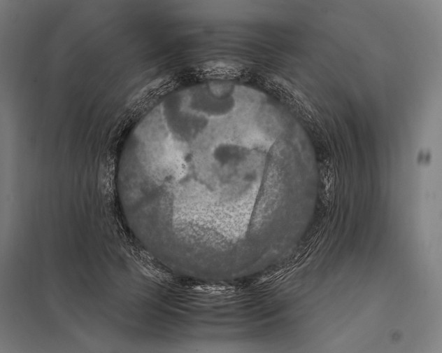 X0000097600745200803280950