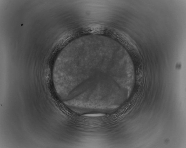 X0000097600748200803280950