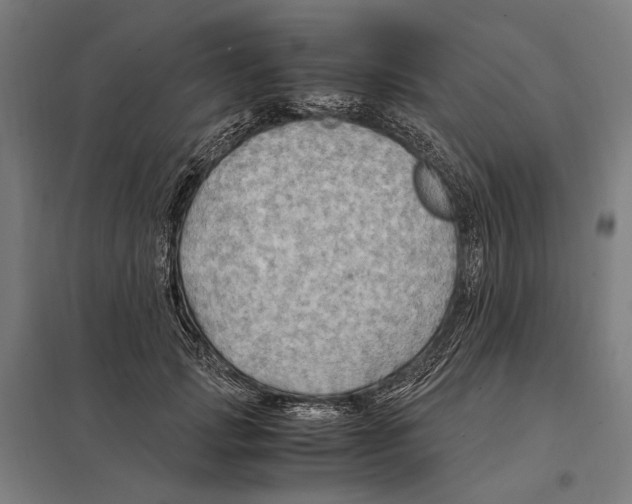 X0000097600749200803280950