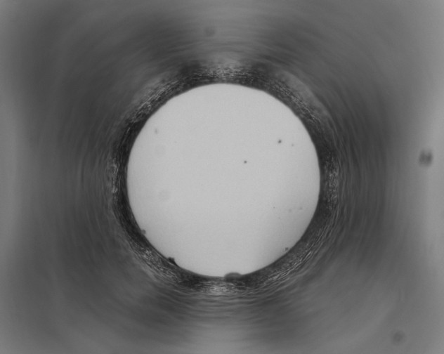 X0000097600750200803280950