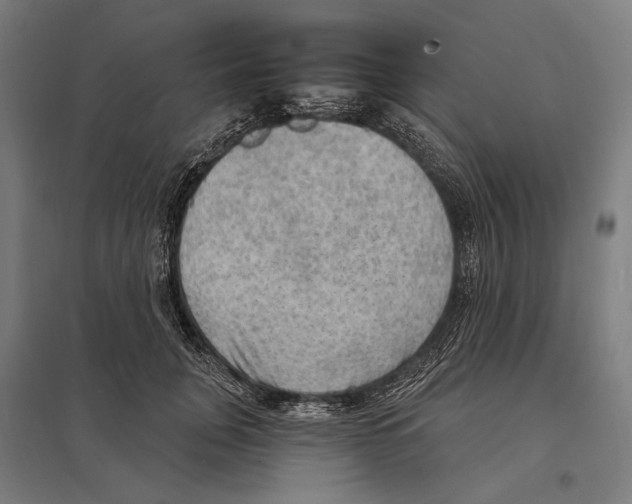 X0000097600751200803280951