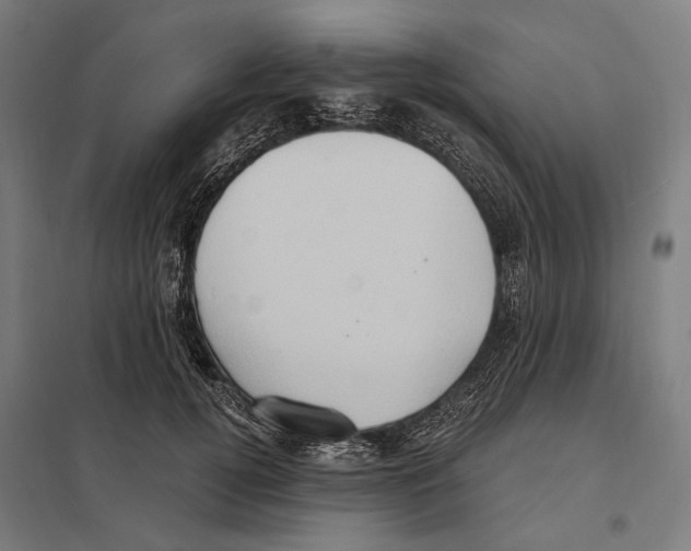 X0000097600752200803280951