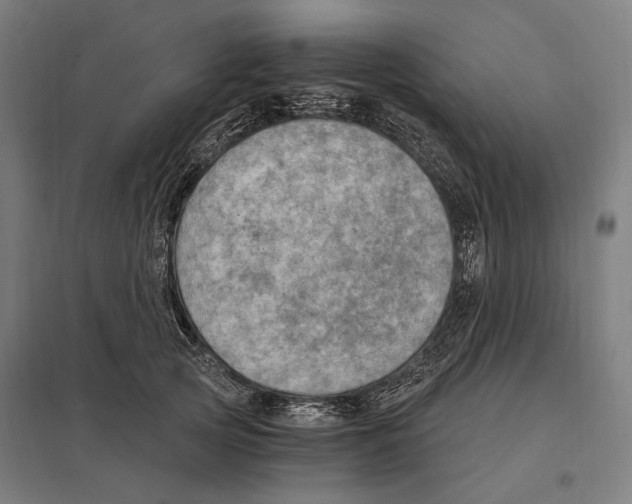 X0000097600753200803280951