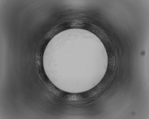 X0000097600755200803280951