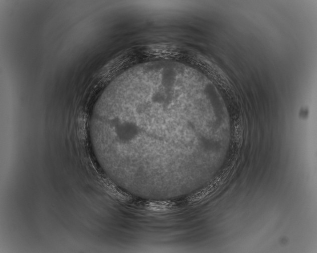 X0000097600757200803280951