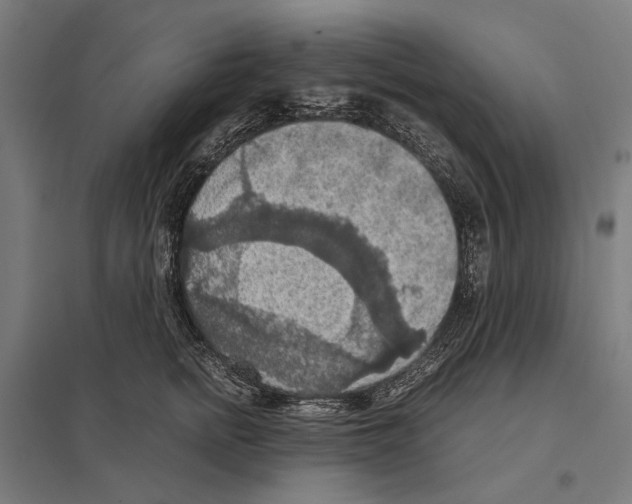 X0000097600758200803280951