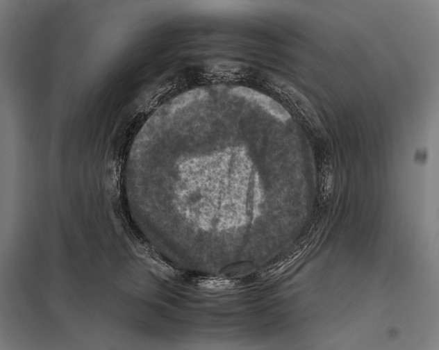 X0000097600759200803280951