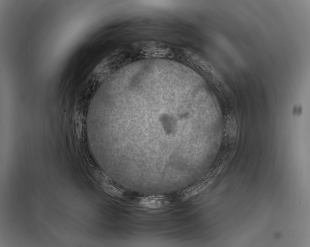 X0000097600761200803280951