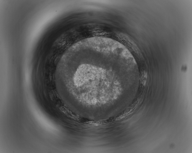 X0000097600763200803280951