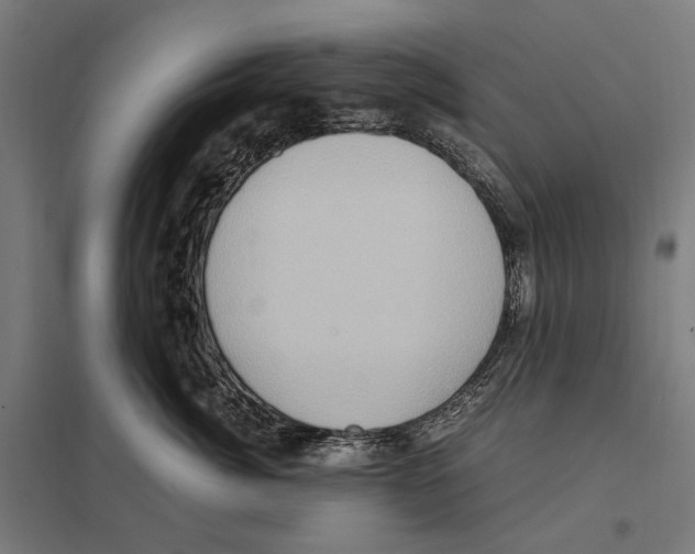 X0000097600764200803280951