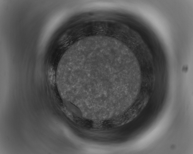 X0000097600766200803280951