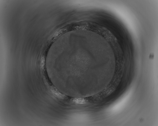 X0000097600767200803280951