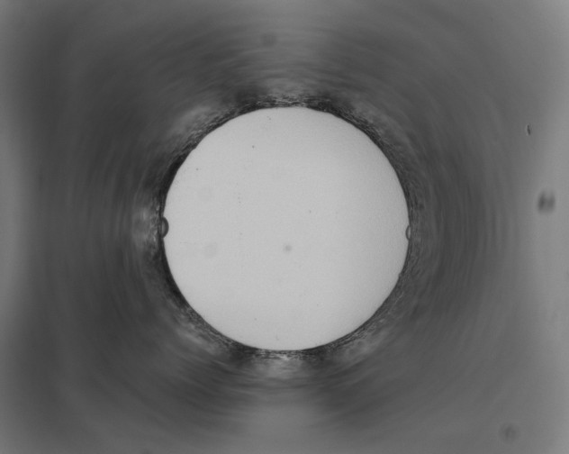 X0000097600768200803280951