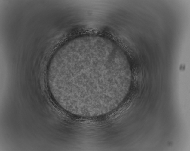 X0000097600769200803280950