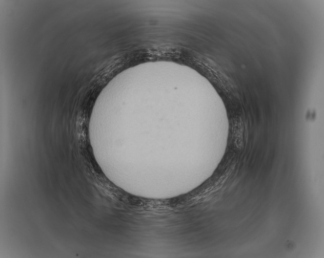 X0000097600770200803280950