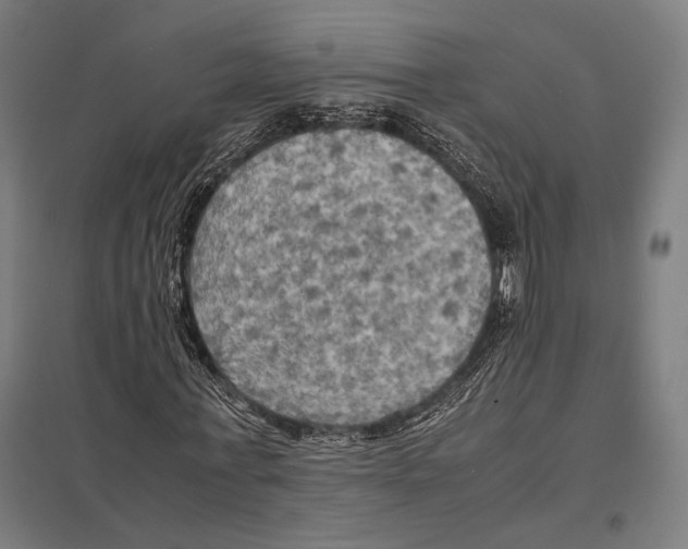 X0000097600771200803280950