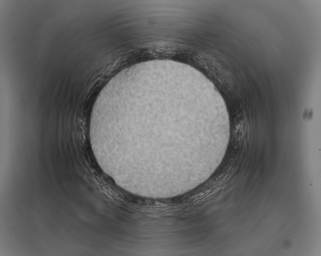 X0000097600772200803280950