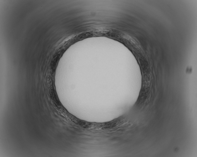 X0000097600773200803280950