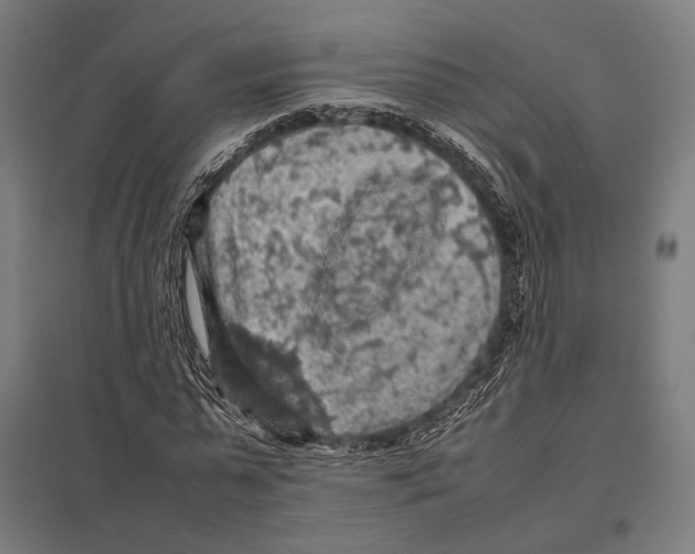 X0000097600775200803280950