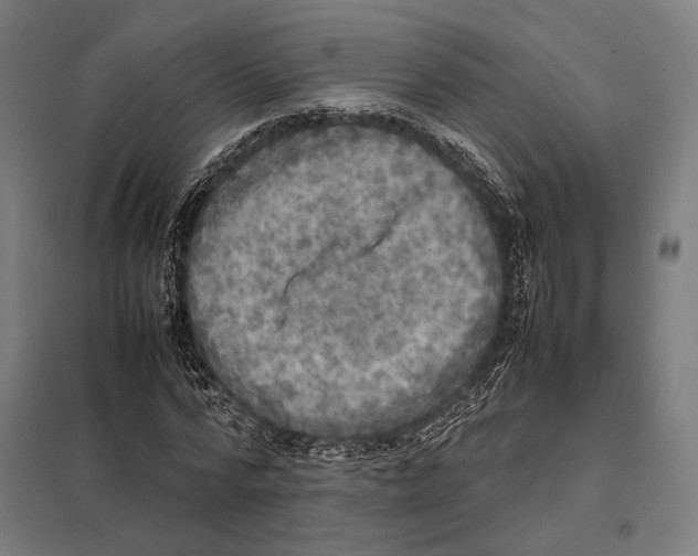 X0000097600776200803280950