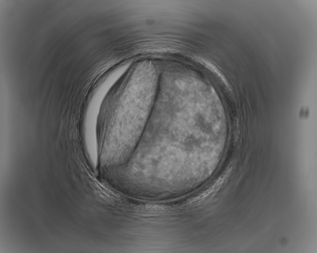 X0000097600777200803280950