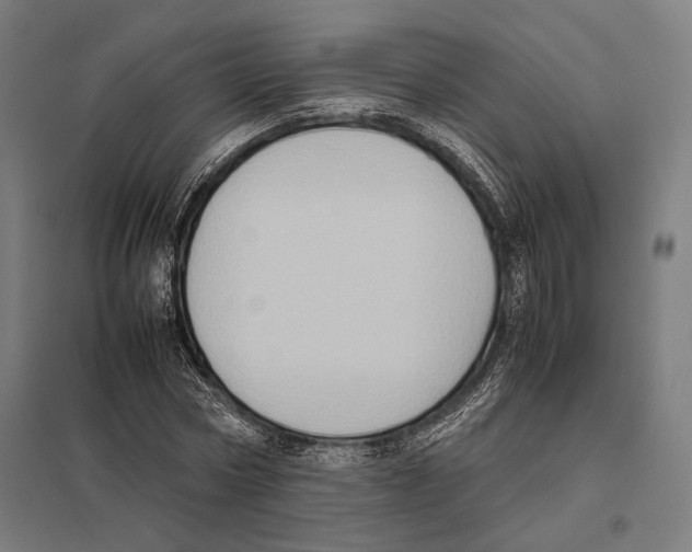 X0000097600778200803280950