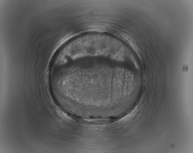 X0000097600779200803280950