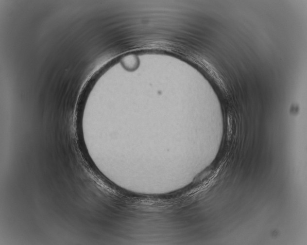 X0000097600780200803280950