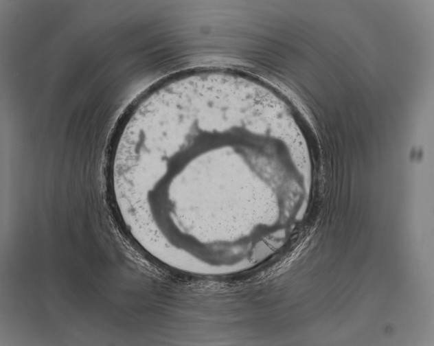 X0000097600783200803280950