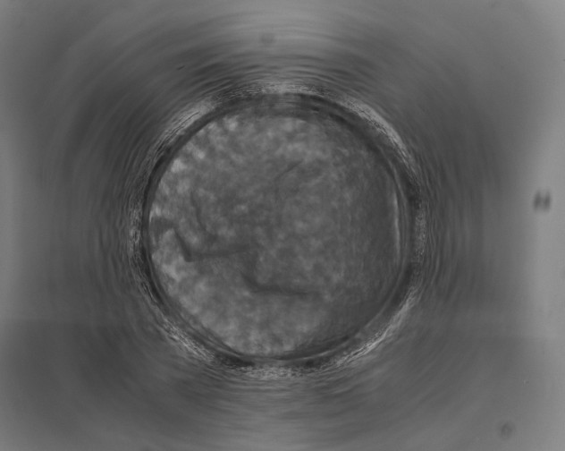 X0000097600785200803280950