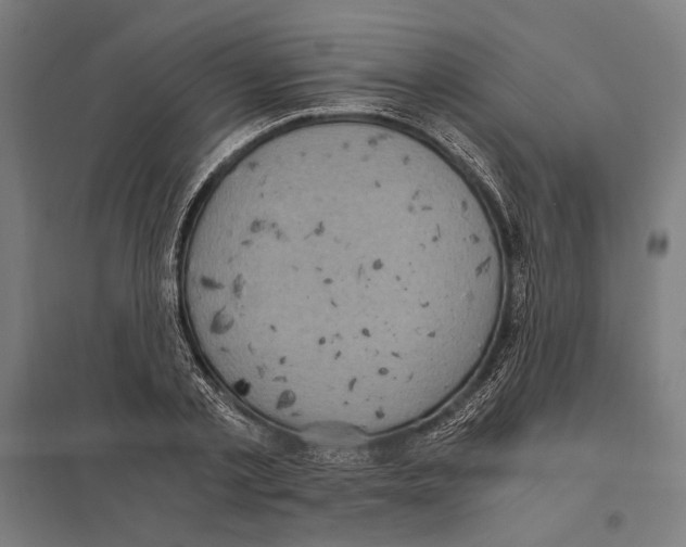 X0000097600789200803280950