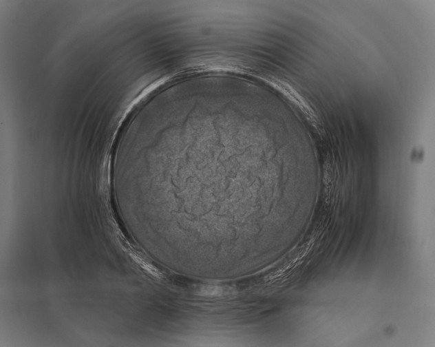 X0000097600790200803280950