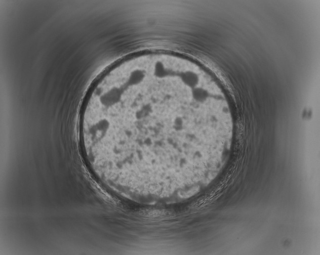 X0000097600791200803280950