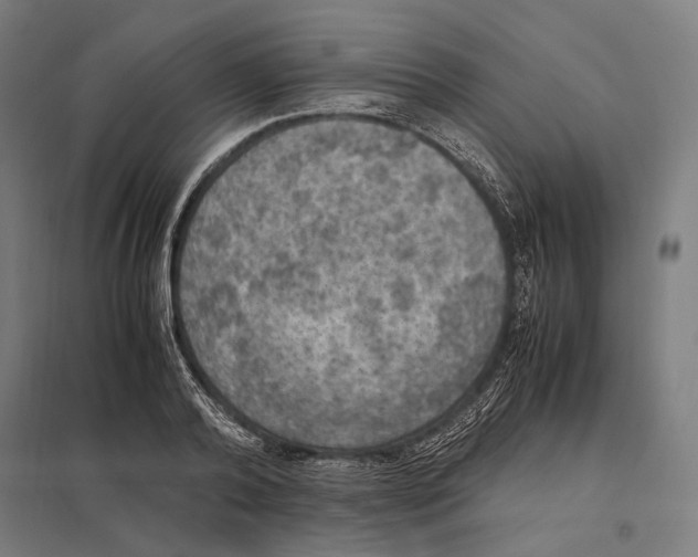 X0000097600792200803280950