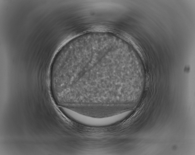 X0000097600795200803280950